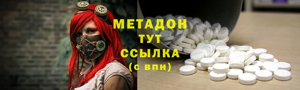 прущие грибы Володарск