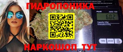 гидропоника Ипатово
