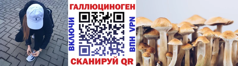 Псилоцибиновые грибы Psilocybine cubensis  наркотики  Мариинск 